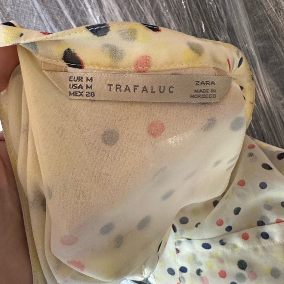 Zara Sheer Polka Dot Blouse - Picture 6 of 11